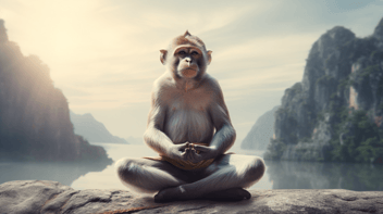 🧘‍♂️Don't Start Meditation Until You're Truly Self-Aware: The Importance of Knowing Yourself First 🌅